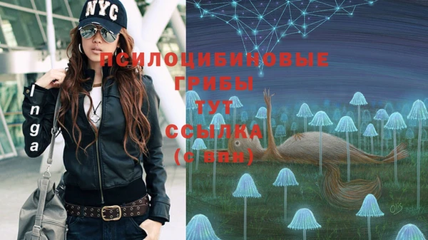 гашик Алексеевка