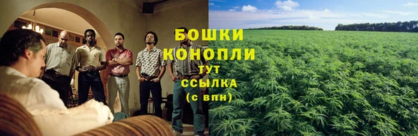 каннабис Алзамай