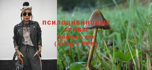 ALPHA-PVP Медногорск