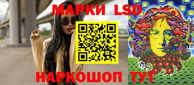 spice Гатчина
