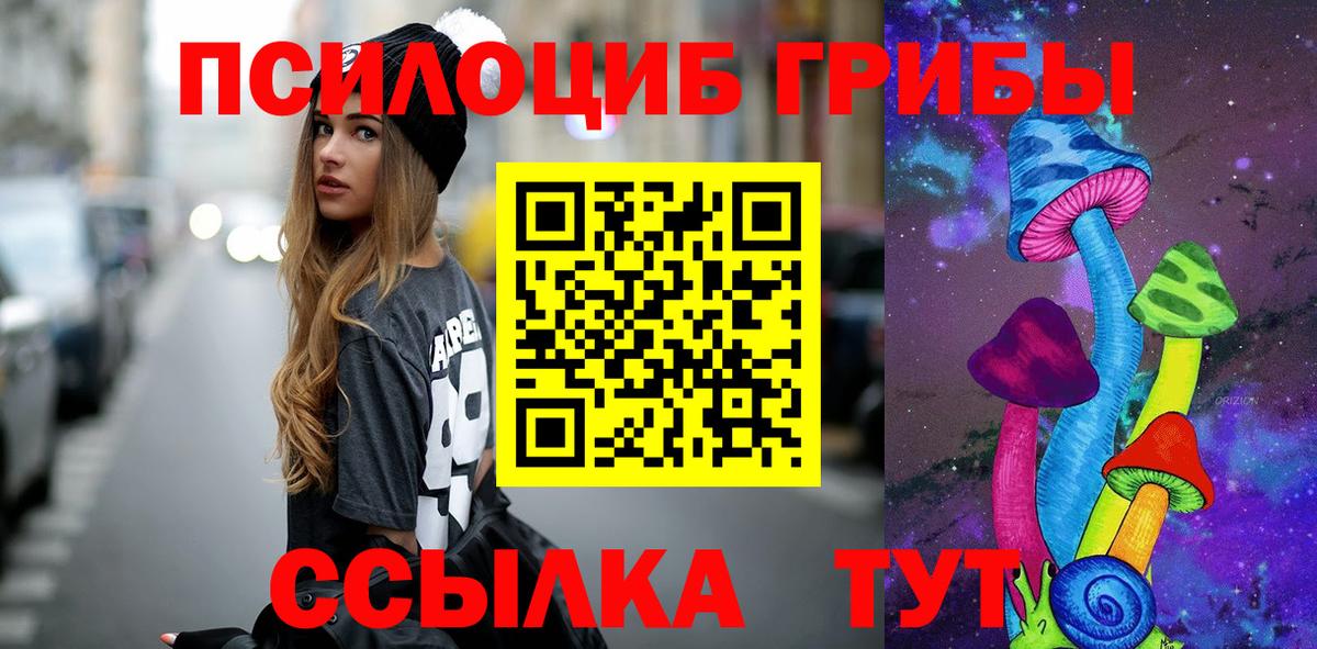 Псилоцибиновые грибы Magic Shrooms  Вход с VPN  Каменка  Галлюциногенные грибы Magic Shrooms 